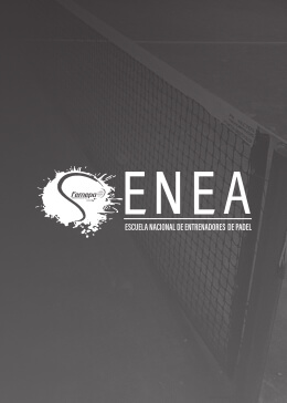 ENEA N4 CDMX 2026